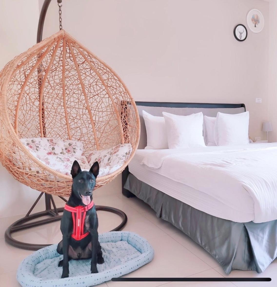 Happy Fat B&B 寵物友善 Taitung Ngoại thất bức ảnh